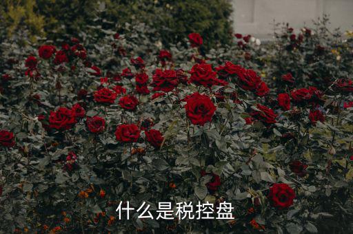 什么是稅控盤(pán)