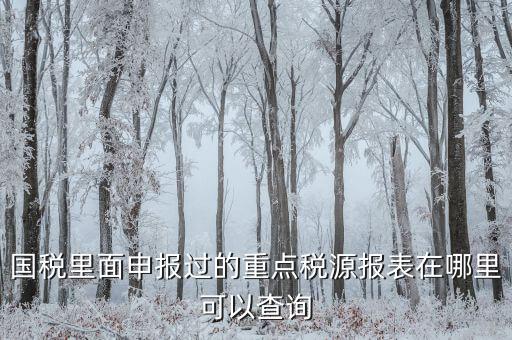 重點(diǎn)稅源預(yù)測(cè)網(wǎng)址是什么，國(guó)稅里面申報(bào)過(guò)的重點(diǎn)稅源報(bào)表在哪里可以查詢