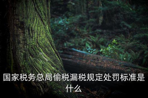 四稽國稅罰是什么意思，國稅局罰款結(jié)案是什么意思