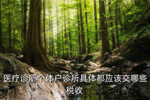 醫(yī)院應(yīng)交什么稅，醫(yī)療診所個(gè)體戶診所具體都應(yīng)該交哪些稅收
