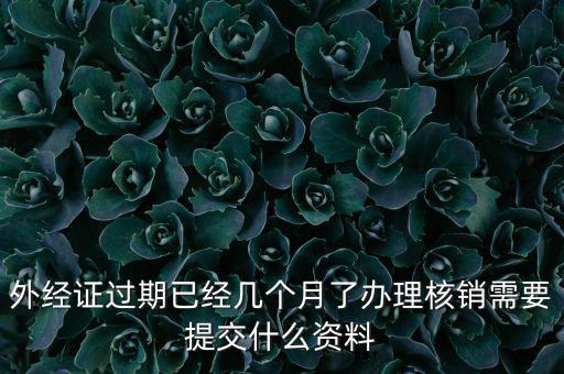外經(jīng)證過(guò)期已經(jīng)幾個(gè)月了辦理核銷需要提交什么資料