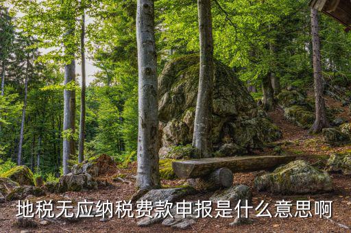 地稅無稅申報包括什么，地稅申報表無稅申報是什么意思我這個月要0申報是點擊