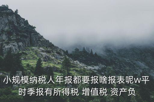 小規(guī)模納稅人年報都要報啥報表呢w平時季報有所得稅 增值稅 資產負