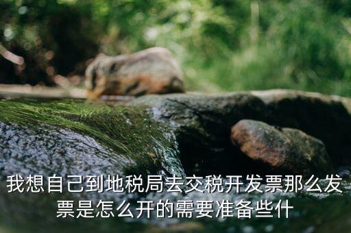 地稅局開票需要什么，到地稅局開發(fā)票需要什么
