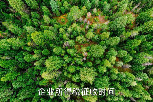 企業(yè)所稅的征收方式什么時候改，企業(yè)所得稅征收時間