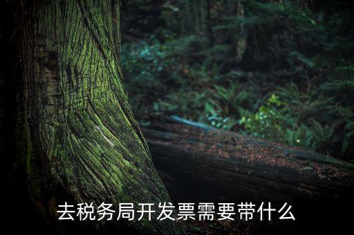 紹興市國稅購增值稅發(fā)票需要帶什么，到稅務(wù)局開增值稅專用發(fā)票帶什么