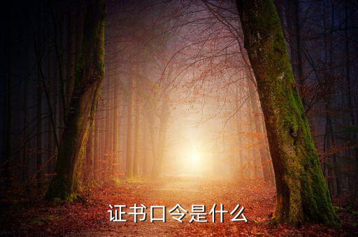 新稅盤(pán)證書(shū)口令是什么意思，金稅盤(pán)口令有什么用