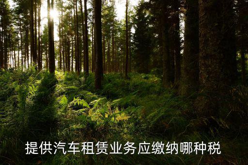 個人出租汽車給公司交什么稅，個人車輛租給公司個稅怎么交