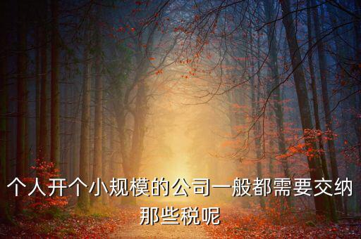 個人開辦水廠需要什么稅，自來水公司的水廠要交房產稅和土地使用稅嗎