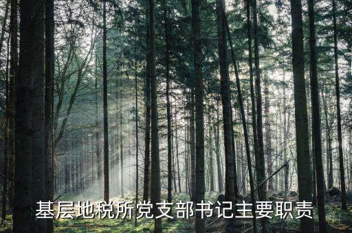 地稅所主體責(zé)任任務(wù)是什么，契稅和耕地占用稅稅務(wù)所的職責(zé)