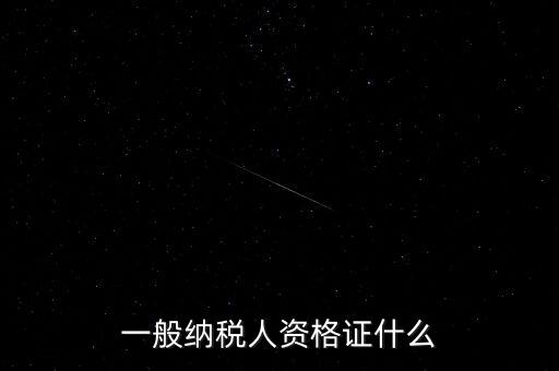 納稅人資格證是什么，一般納稅人的認定資格是什么