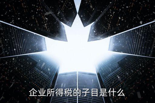 企業(yè)所得稅征收品目是什么，征收品目是什么