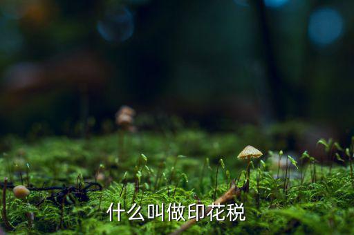 銀行印花稅是什么，什么叫做印花稅
