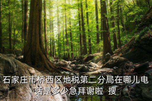 地稅二分局是做什么的，地稅科查局是做什么的