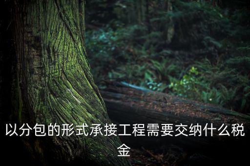 工程稅安什么繳，被施工單位土建工程應(yīng)繳納何種稅
