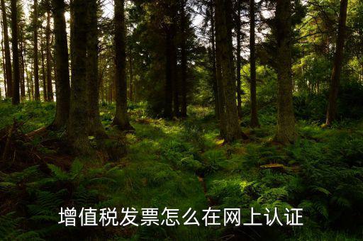 發(fā)票認(rèn)證需要什么軟件下載，國稅發(fā)票認(rèn)證需要準(zhǔn)備那些資料 到大廳辦的時候工作人員叫我拿U盤