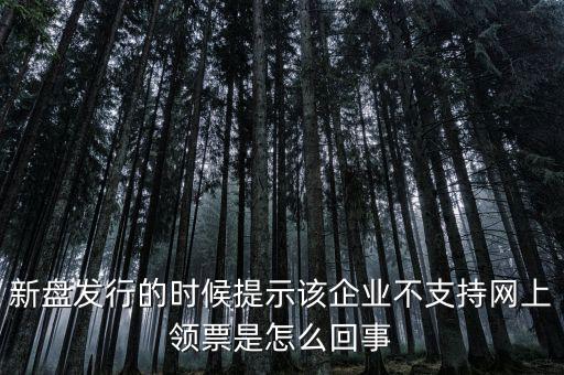 新盤發(fā)行的時候提示該企業(yè)不支持網上領票是怎么回事