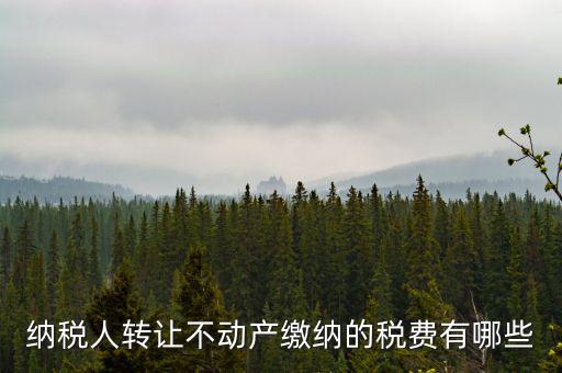 轉(zhuǎn)讓不動(dòng)產(chǎn)交什么稅，納稅人轉(zhuǎn)讓不動(dòng)產(chǎn)繳納的稅費(fèi)有哪些