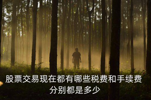 賣出股票要交什么稅，營改增后企業(yè)買賣股票應(yīng)按照什么稅目繳納增值稅