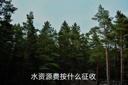 水資源稅實(shí)行什么征收，水資源費(fèi)按什么征收