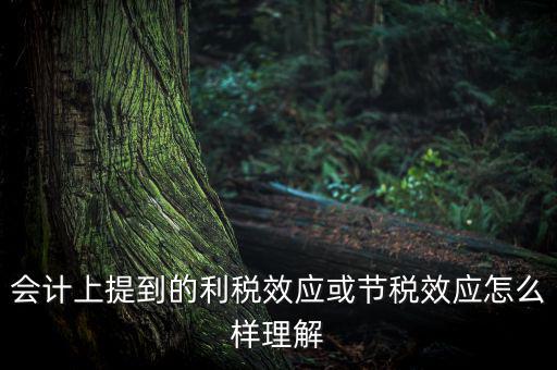 節(jié)稅效應(yīng)是節(jié)的什么稅，什么是節(jié)稅額