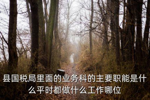 什么是稅政工作，縣國稅局里面的業(yè)務(wù)科的主要職能是什么平時都做什么工作哪位