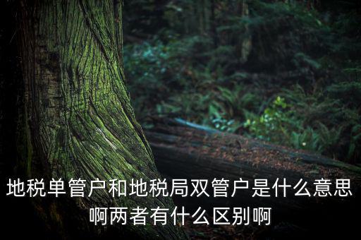 單管戶什么意思，地稅單管戶除了飲食行業(yè)外還有哪幾個(gè)行業(yè)