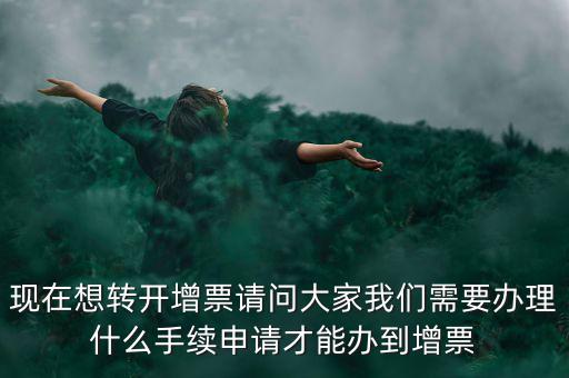 申請(qǐng)?jiān)黾影l(fā)票需要什么手續(xù)，去國稅局開增值稅專業(yè)發(fā)票需要帶什么材料