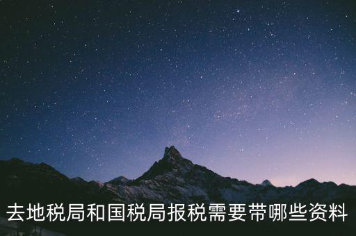 到國(guó)稅報(bào)稅需要什么，去地稅局和國(guó)稅局報(bào)稅需要帶哪些資料