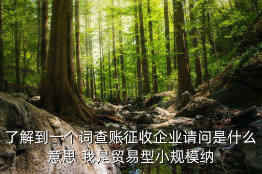 了解到一個(gè)詞查賬征收企業(yè)請(qǐng)問(wèn)是什么意思 我是貿(mào)易型小規(guī)模納