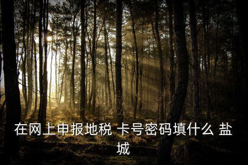 微信申報(bào)地稅的密碼是什么，地稅申報(bào)的用戶名和密碼是什么