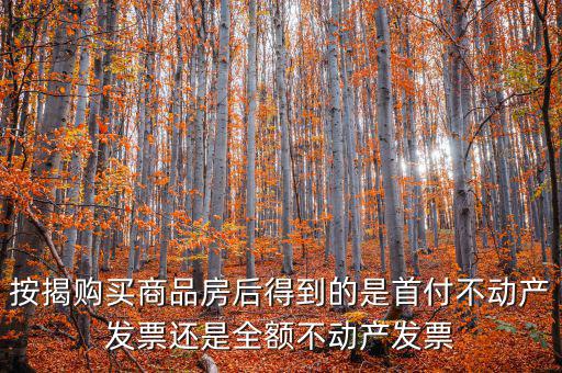 什么是全額不動(dòng)產(chǎn)發(fā)票，想問一下購房全額發(fā)票到底是什么的侯才開是在交房的時(shí)侯還是辦