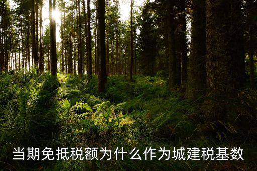 免抵稅額為什么要交城建稅，免抵稅額為什么要負擔城建稅和教育費附加