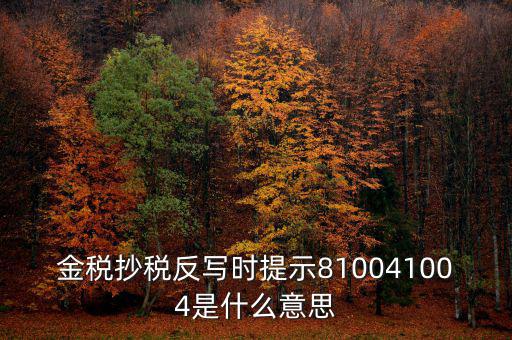金稅抄稅反寫(xiě)時(shí)提示810041004是什么意思