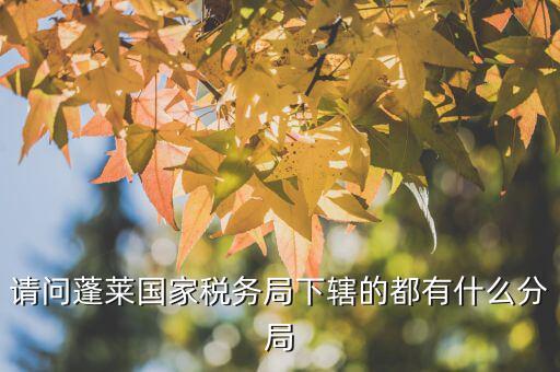 國稅局分局有什么，豐縣國稅局有幾個分局