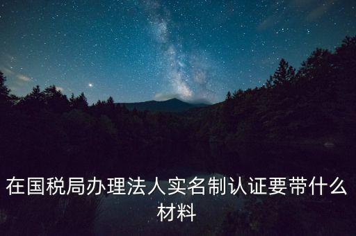 服務(wù)廳實名辦稅要帶什么，服務(wù)業(yè)辦稅務(wù)登記要些什么證件