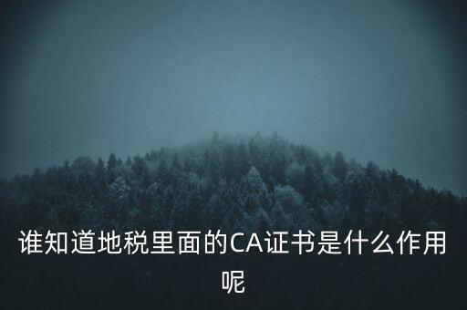 地稅的ca證書(shū)是什么，什么是聯(lián)通ca證書(shū)地稅ca證書(shū)