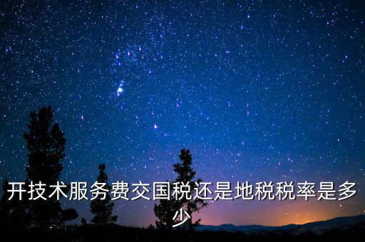 開技術服務費交國稅還是地稅稅率是多少