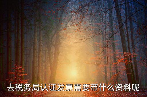 發(fā)票認(rèn)證都需要帶什么，去開票大廳認(rèn)證發(fā)票需要帶什么資料