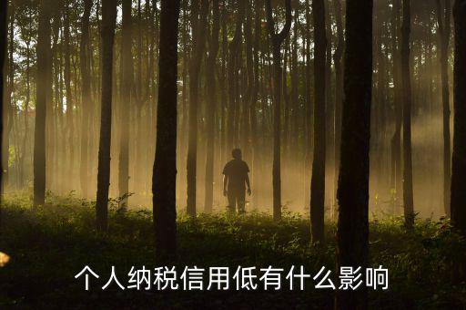 納稅信用記錄是什么，金稅三期納稅信用管理是什么意思