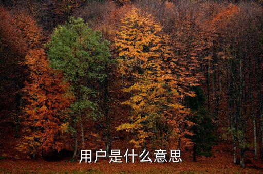 稅局用戶是什么意思，國(guó)稅局發(fā)票軟件里用戶代碼和密碼是什么