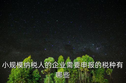 國(guó)稅小企業(yè)報(bào)什么稅，無(wú)錫 一般納稅人 小企業(yè)納稅人 國(guó)稅 地稅 分別要報(bào)哪些