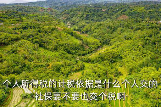個(gè)稅的計(jì)稅依據(jù)是什么，個(gè)人所得稅的計(jì)稅依據(jù)是什么個(gè)人交的社保要不要也交個(gè)稅啊