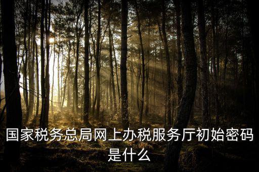 江蘇地稅登錄密碼是什么意思，江蘇地稅開票密碼是多少