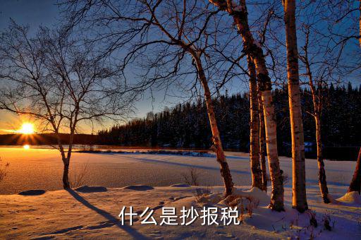 什么是抄稅報(bào)稅申報(bào)，抄稅和報(bào)稅是什么意思 應(yīng)該怎么做呢