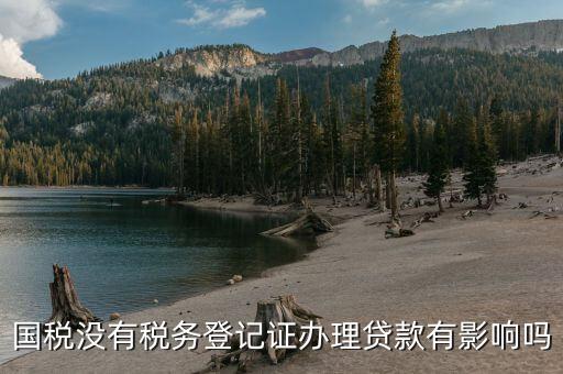 國(guó)稅未實(shí)名會(huì)影響什么，稅務(wù)未實(shí)名認(rèn)證對(duì)負(fù)責(zé)人有影響么