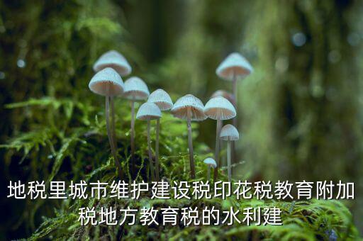 水利建設(shè)基金的計稅基礎(chǔ)是什么，計稅基礎(chǔ)是什么意思