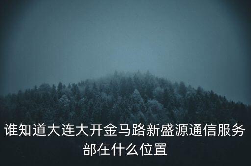 信息服務(wù)部可以叫什么地方，誰知道大連大開金馬路新盛源通信服務(wù)部在什么位置