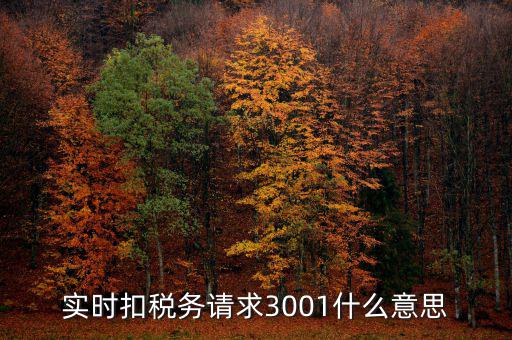 實(shí)時(shí)扣稅務(wù)請求3001什么意思