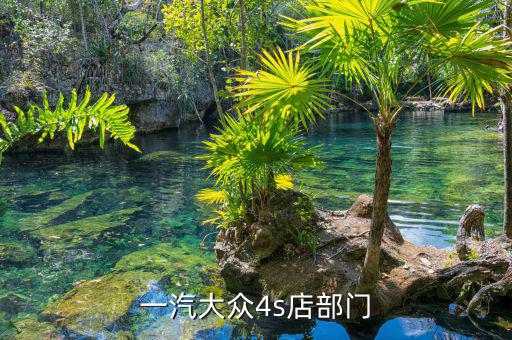 宋蘭去什么部門了，國家稅務(wù)總局的副局長宋蘭身體很豐滿